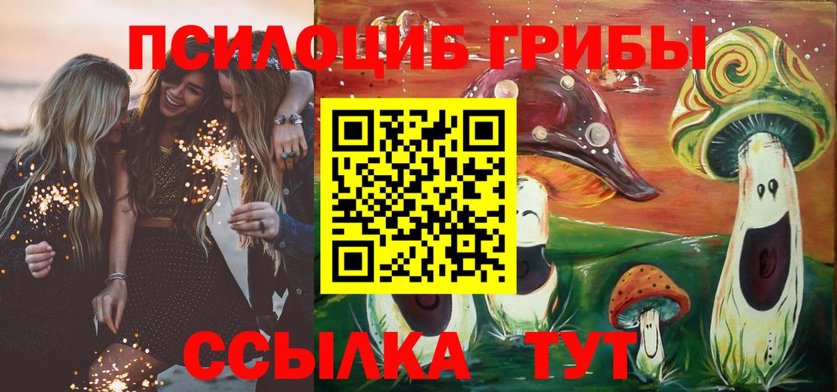Псилоцибиновые грибы Psilocybine cubensis  Галлюциногенные грибы мицелий  Железноводск  Вход с VPN 